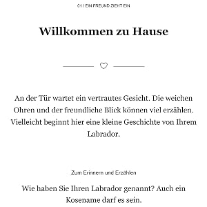 Willkommen zu Hause – Text und Gesprächsfrage